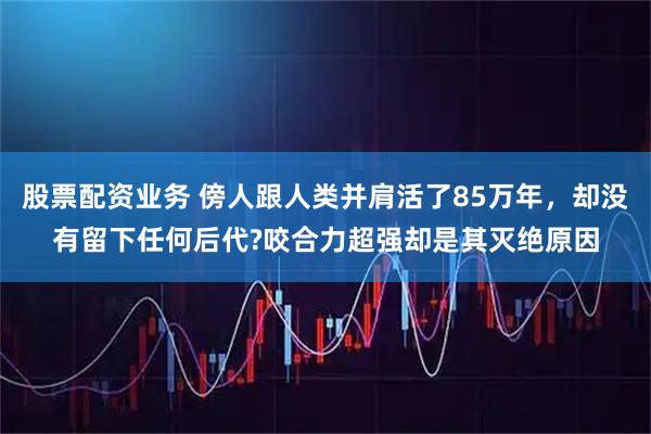 股票配资业务 傍人跟人类并肩活了85万年，却没有留下任何后代?咬合力超强却是其灭绝原因