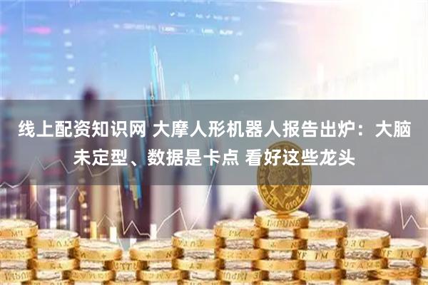 线上配资知识网 大摩人形机器人报告出炉：大脑未定型、数据是卡点 看好这些龙头